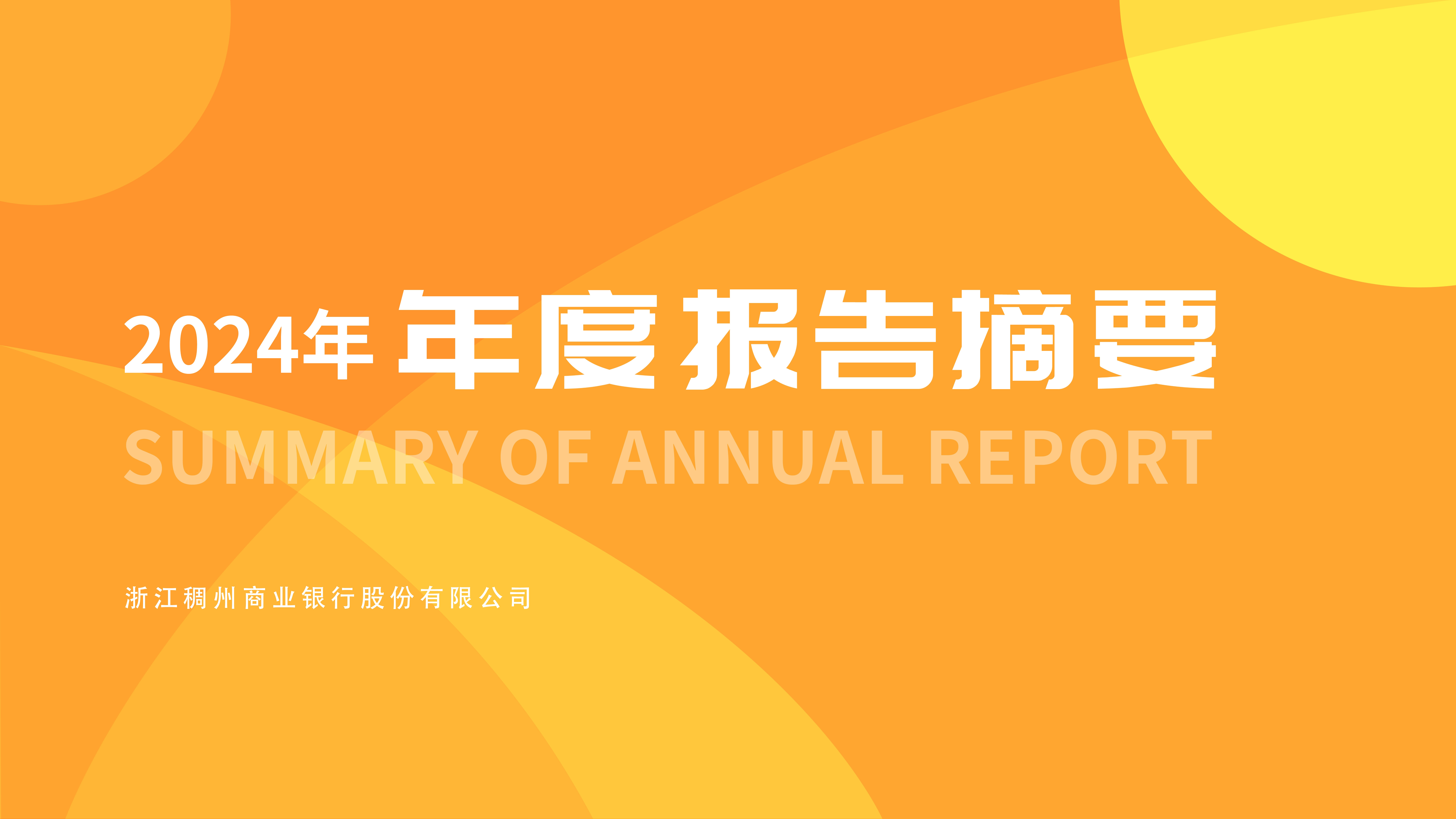 2024年度报告摘要